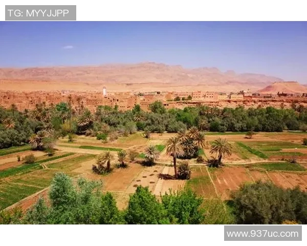 马里迪莫与托德拉的激烈对决谁能在这场比赛中脱颖而出 马里迪莫与托德拉的激烈对决谁能在这场比赛中脱颖而出