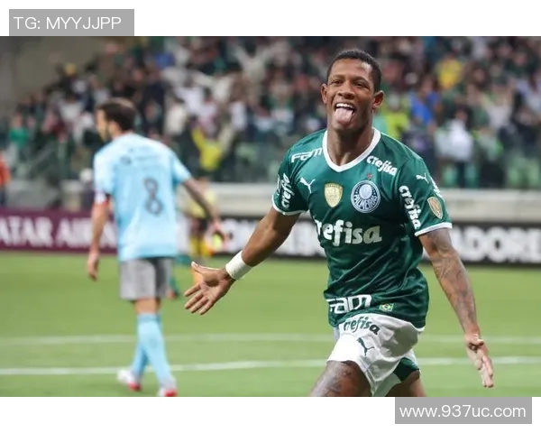 飓风队与自由队实时比分更新及赛况分析尽在此处