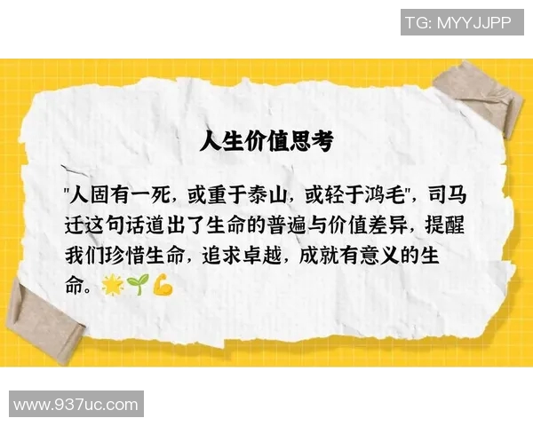 崔永熙的奋斗历程与人生哲学探讨：从平凡到卓越的启示与反思